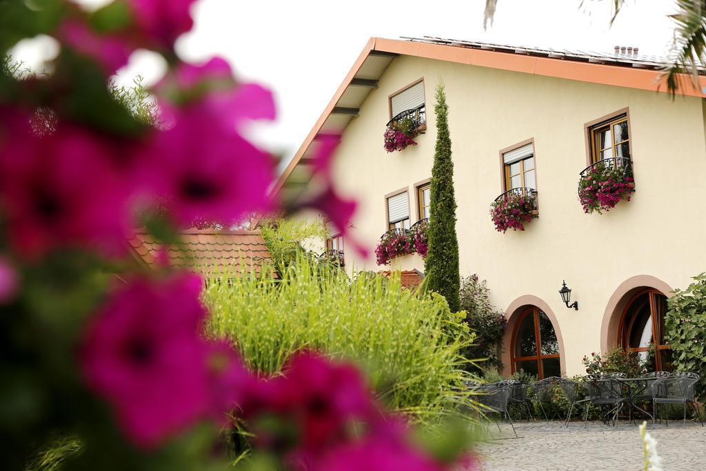 Villa Hochdoerffer Gaestehaus Landau in der Pfalz Buitenkant foto