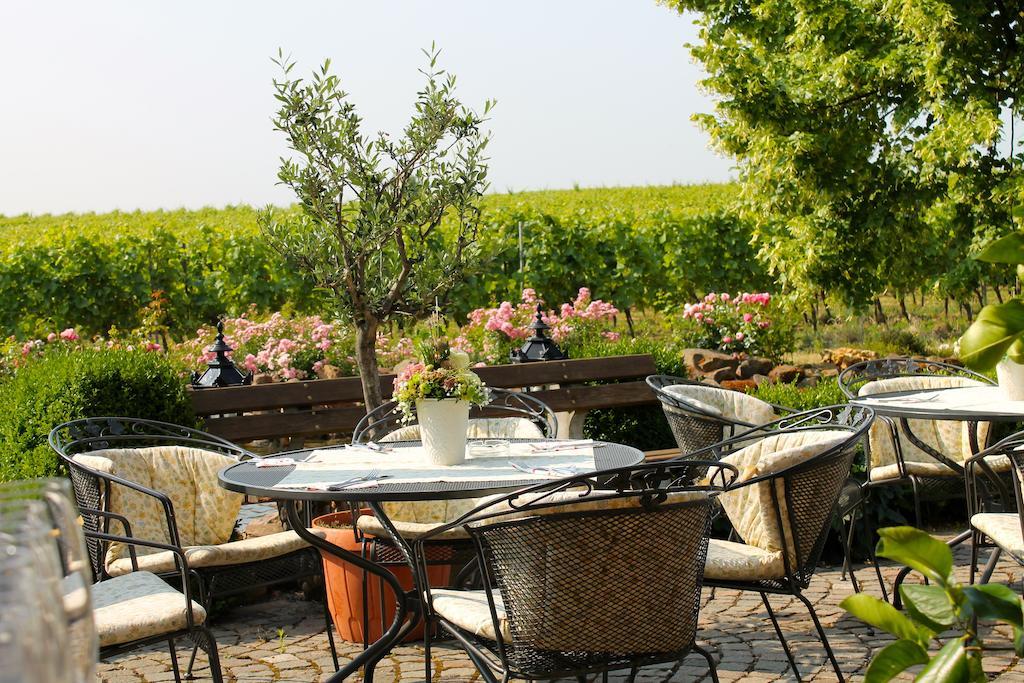 Villa Hochdoerffer Gaestehaus Landau in der Pfalz Buitenkant foto