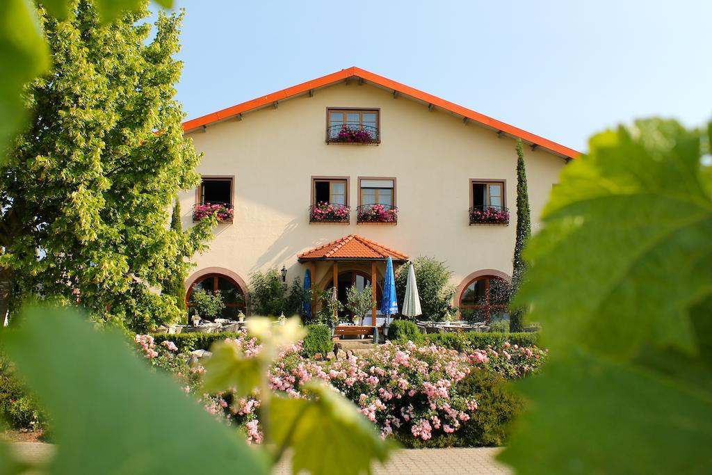 Villa Hochdoerffer Gaestehaus Landau in der Pfalz Buitenkant foto