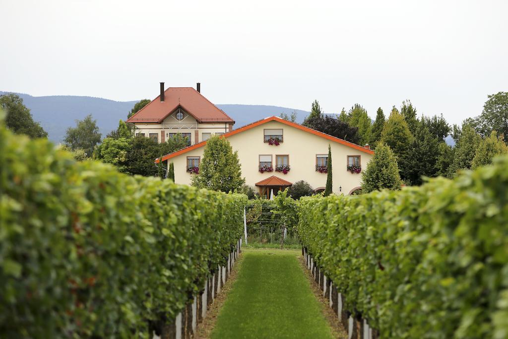 Villa Hochdoerffer Gaestehaus Landau in der Pfalz Buitenkant foto